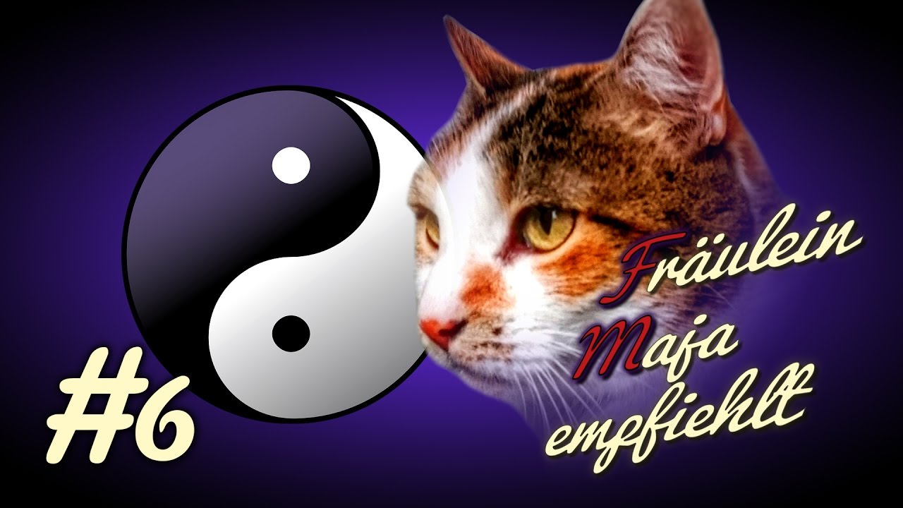 Die Katzen Grundbedürfnisse - Fräulein Maja empfiehlt Teil 6