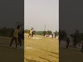 Clean Bowled 🔥 | Gilli Udi, Stumps Hile 😱 | Perfect Delivery#CleanBowled #PerfectBall #BowlingMagic