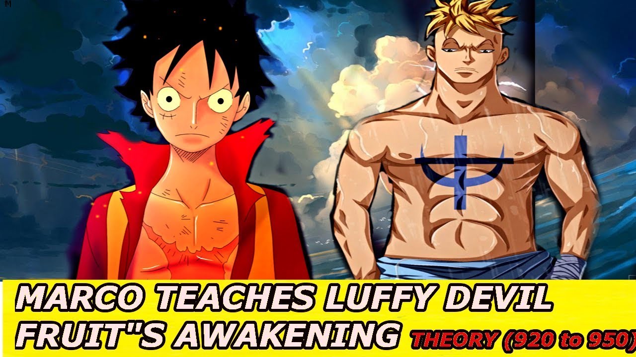 Marco teaches luffy Devil Fruit Awakening One piece theories chapter