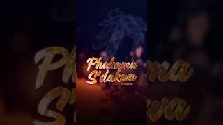 Dj Fareed  Phakama Sdakwa