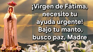 Oración a la Virgen de Fátima 🙏 | Pide un Milagro Urgente y Paz Interior 💙 | Bajo el Manto de María screenshot 5