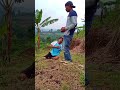 Kalah cepat pas nemu uang,malah pura pura pingsan #funny #comedy #shorts
