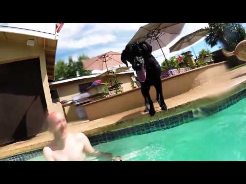 Maddie vs GoPro in the pool