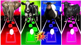 Funny Elephant 🆚 Funny Cow 🆚 Ferdinand 🆚 Funny Bulls.🌟 Best Edm Rush Gameplay ✅