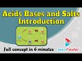 CBSE Class 10 Science Chapter 2 Acids Bases and Salts - LearnFatafat