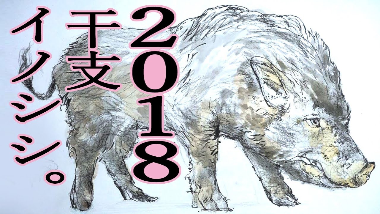 デッサン描き方 手描き実速 詳しい口頭解説 2019年の干支 イノシシ How To Draw Wild Boar Youtube