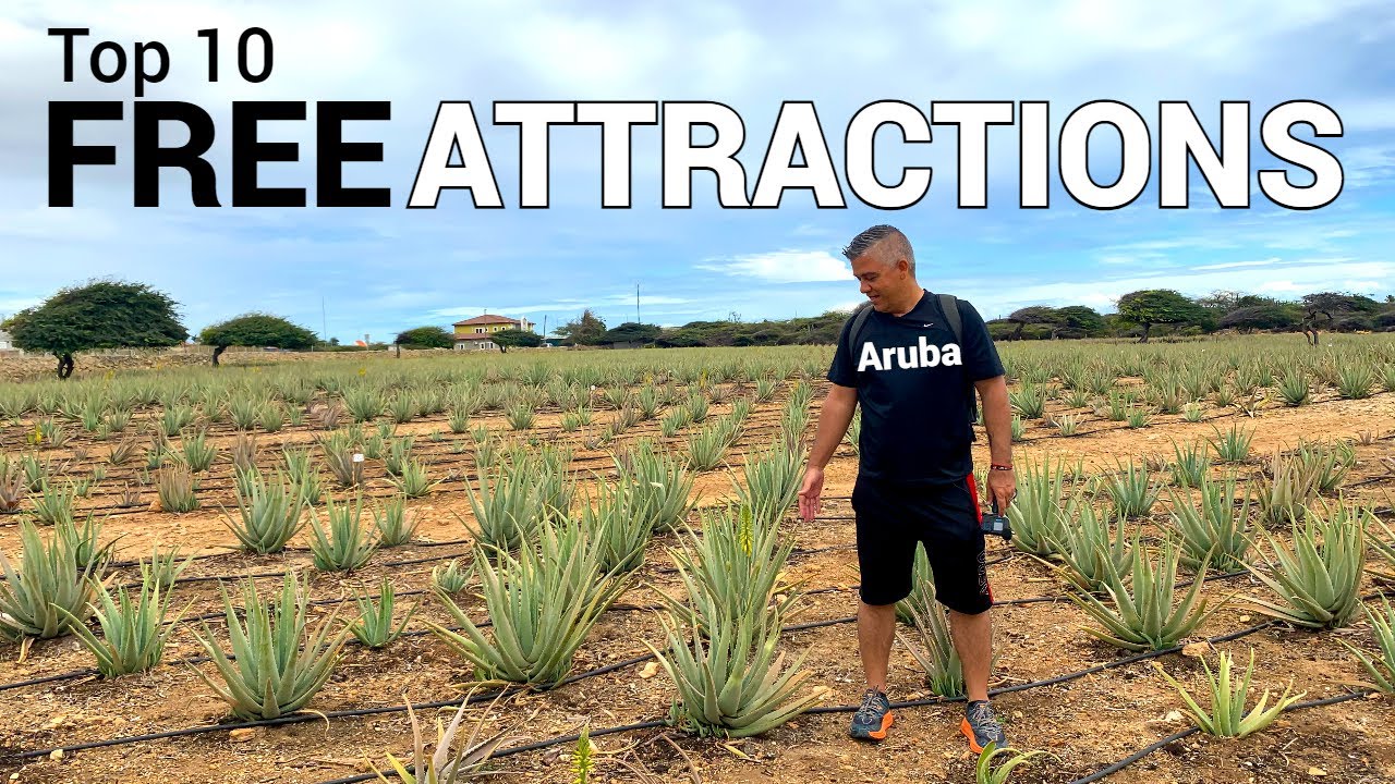 TOP 10 FREE things to do in ARUBA - YouTube