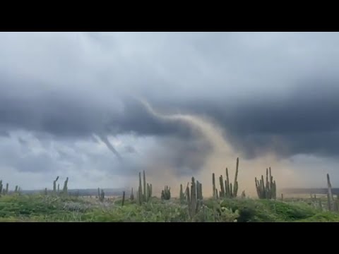 Wideo: Pogoda i klimat na Arubie