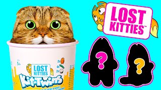 Where are The Lost Kitties? || Unboxing the Cutest Cats on the Internet 🙀