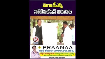 మెగా డీఎస్సీ నోటిఫికేషన్ విడుదల | Mega DSC Notification Released | CM Revanth | V6 Shorts