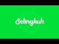 Selingkuh Video Lyric