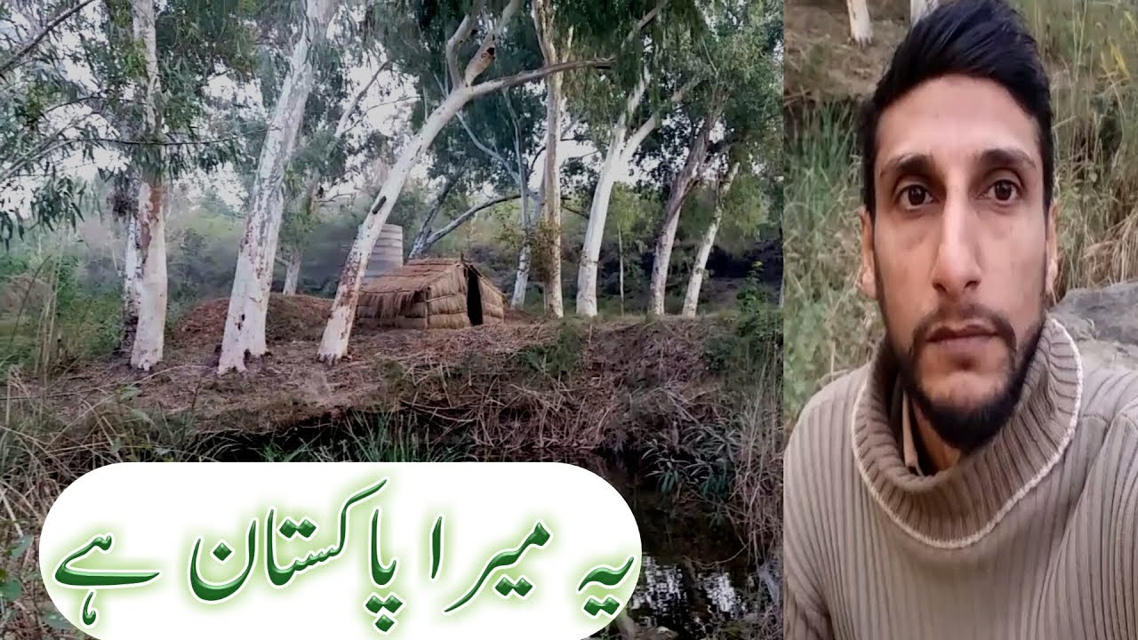 pakistan beautiful places |  daim vist | with zafran rajput