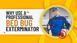 When To Call An Bed Bug Exterminator