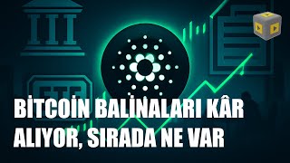 Bitcoinde Eski Balinalar Satıyor Bu Senaryo Hangi Şartlarda Çalışır?