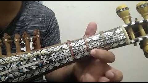 Finger slider Sargam - Slow motion Rabab