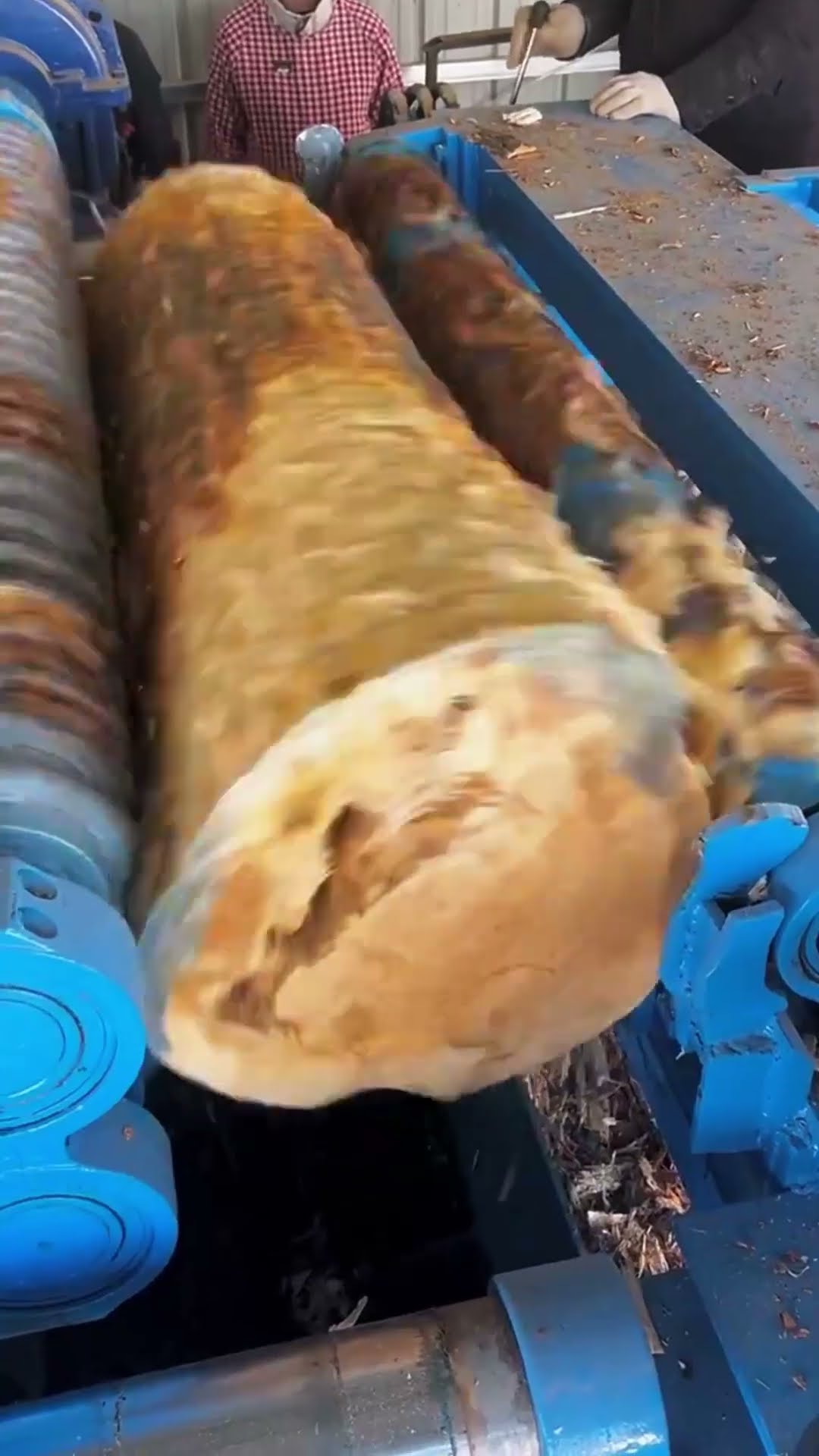 Tree roundness polishing process- Good tools and machinery make work easy