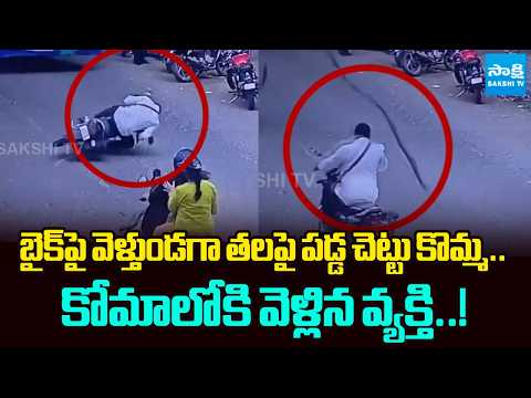 బైక్‌పై వెళ్తుండగా తలపై పడ్డ చెట్టు కొమ్మ..కోమాలోకి వెళ్లిన వ్యక్తి.! Bangalore road accident | - SAKSHITV