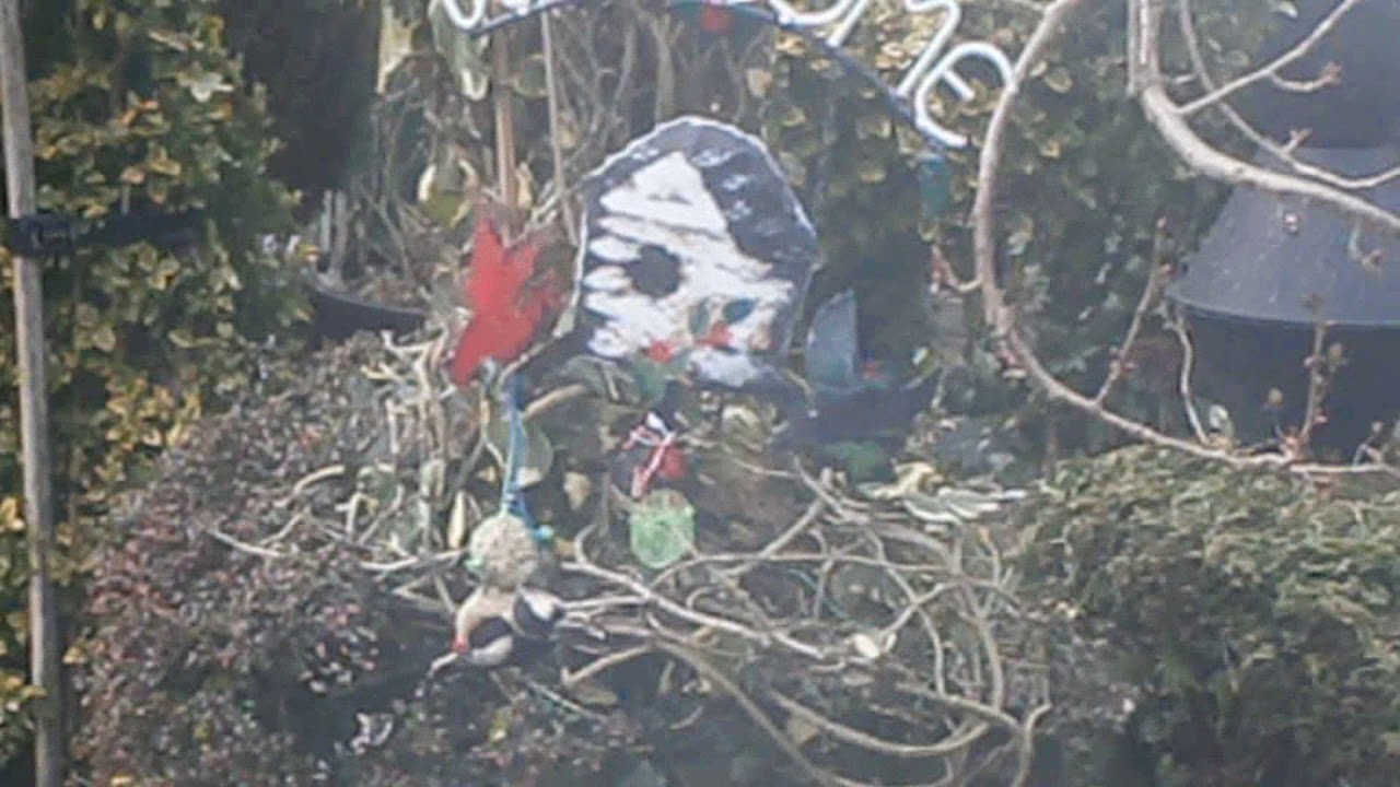 Yellow Bird Guitar Instrumental YouTube