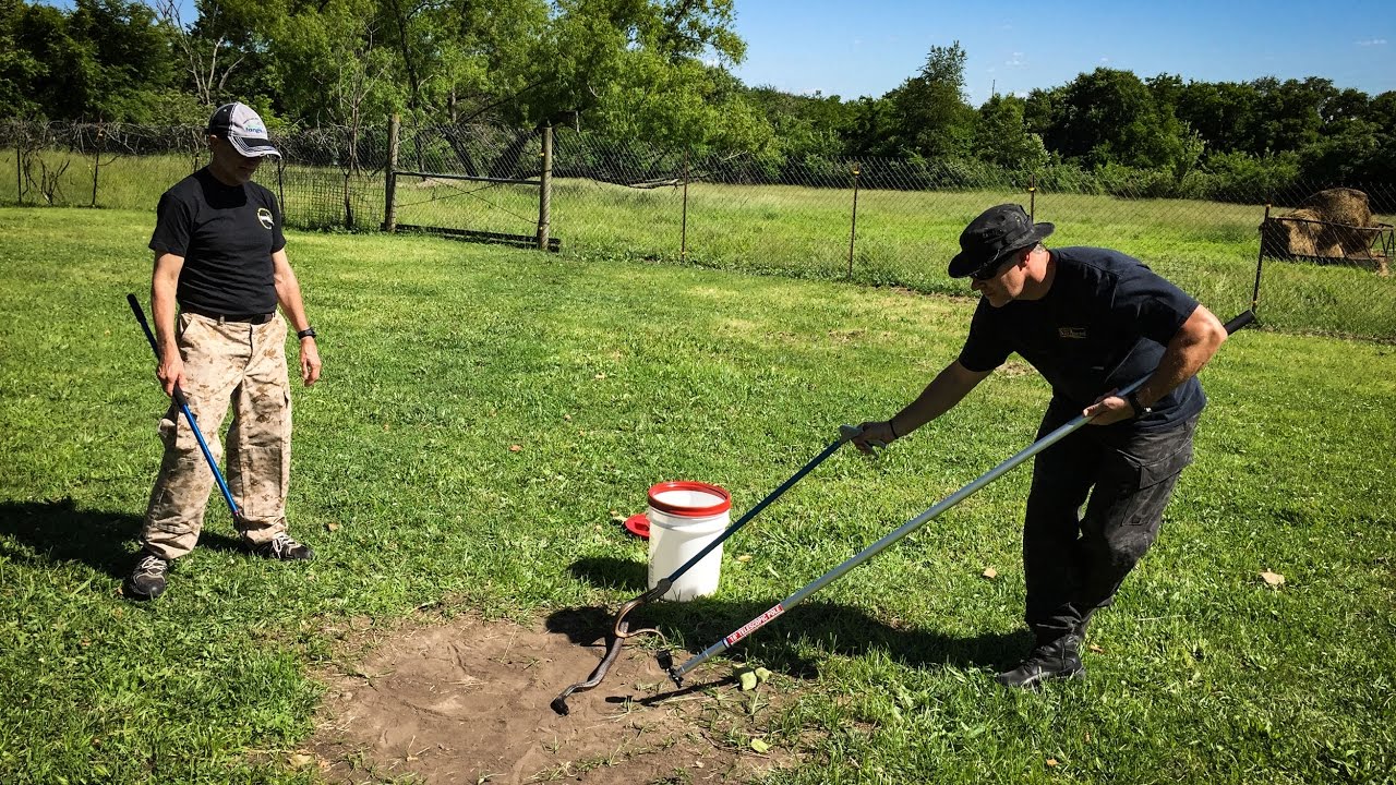 adventures of aladdin Additional Footage from 