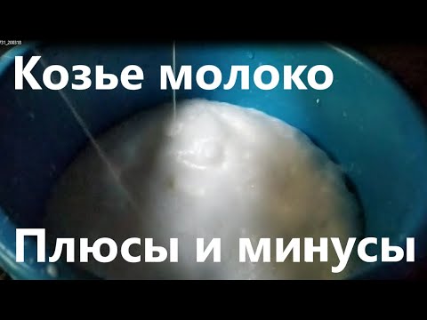 Козье молоко. Плюсы и минусы.