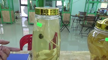 PHIÊN CHỢ SÂM NGỌC LINH THÁNG 3 II Cơ sở Tuấn Ngân - 0363434337