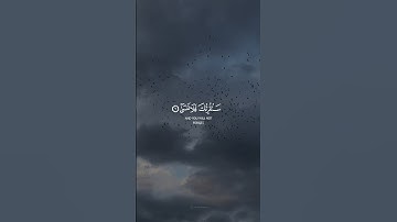 سَنُقْرِئُكَ فَلَا تَنْسَىٰ إِلَّا مَا شَاءَ اللَّهُ ۚ || القارئ الشيخ رعد الكردي || من سورة الأعلى