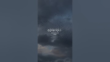 سَنُقْرِئُكَ فَلَا تَنْسَىٰ إِلَّا مَا شَاءَ اللَّهُ ۚ || القارئ الشيخ رعد الكردي || من سورة الأعلى