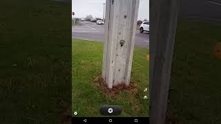 SurvX Powerline survey
