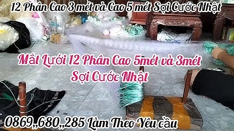 A Chiến _ Lưới Đánh Cá Sợi Cước Nhật Bản 12 Phân Cao 5 mét và Cao 3 mét Cung Cấp Toàn Quốc