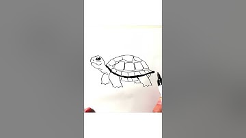 🐢 Drawing in 60 Seconds #turtle #drawing #howto #🐢