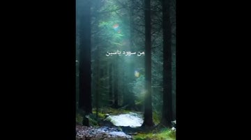 سورة يس الشيخ سعد الغامدي #cupcatedit #اكسبلور #القرآن_الكريم #cupcut #duet #أدعية_مستجابة