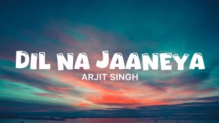 Dil Na Janeya - Arjit Singh | Lyrics song | Good Newz 