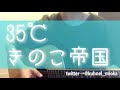 35&deg;C/きのこ帝国 カバー