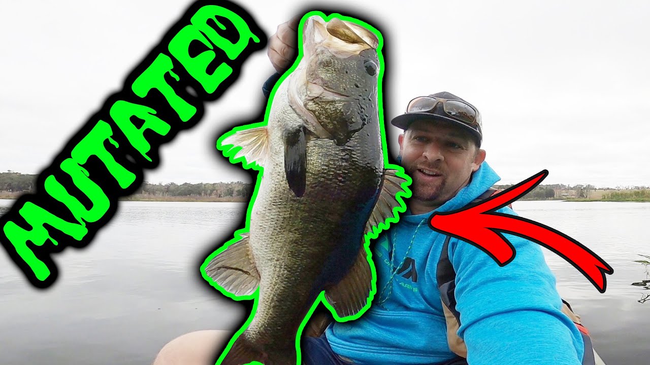 Lake Toho Bass Fishing - Kayaking Fishing Report