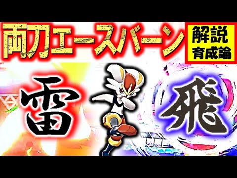 受けだし不能 環境最強の両刀acエースバーンを徹底解説 育成論 技構成 使い方 ポケモン剣盾 鎧の孤島 対戦実況 Youtube