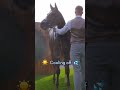 Just horse things ✨ | #Shorts
