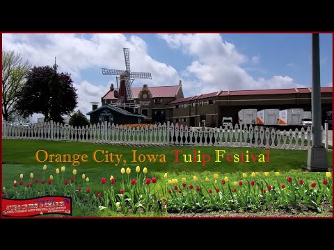 Tulips Festival Orange City, Iowa USA Road Trip Scenic Nature Landscape Drive Thru Tour!