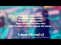 Miniature de la vidéo de la chanson Amor (Remix)