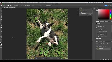 Printing With The Canon Pro 2000