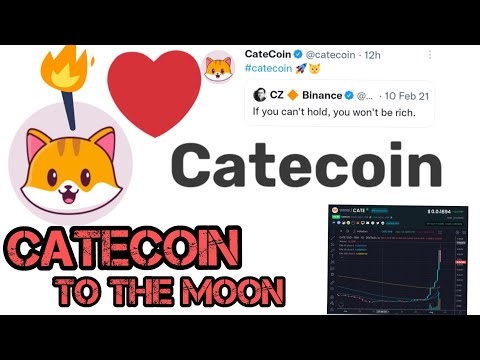   Catecoin Skyrockets After Binance Rumours CATE Binance Launchpad CATECOIN Next Doge And Shiba Inu