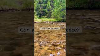 Can you feel the peace? #relaxing #nature #river #peaceful #asmr