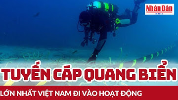Tuyến cáp quang biển lớn nhất Việt Nam chính thức đi vào hoạt động | Báo Nhân Dân