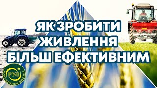 ЖИВЛЕННЯ ОЗИМОЇ ПШЕНИЦІ: 5 порад для підвищення ефективності