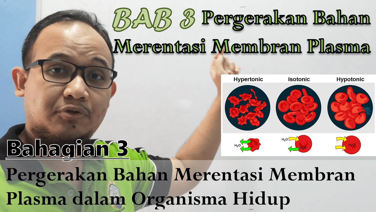 KSSM Bio Ting. 4  - Bab 3 - Pergerakan Bahan Merentasi Membran (Part 3: Dalam Organisma Hidup)