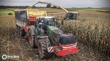 Krone Big X 1180 Feldhäcksler mit 14 Reiher EasyCollect von LU Hamester- MAIS 25  Musik&Sound Part 1