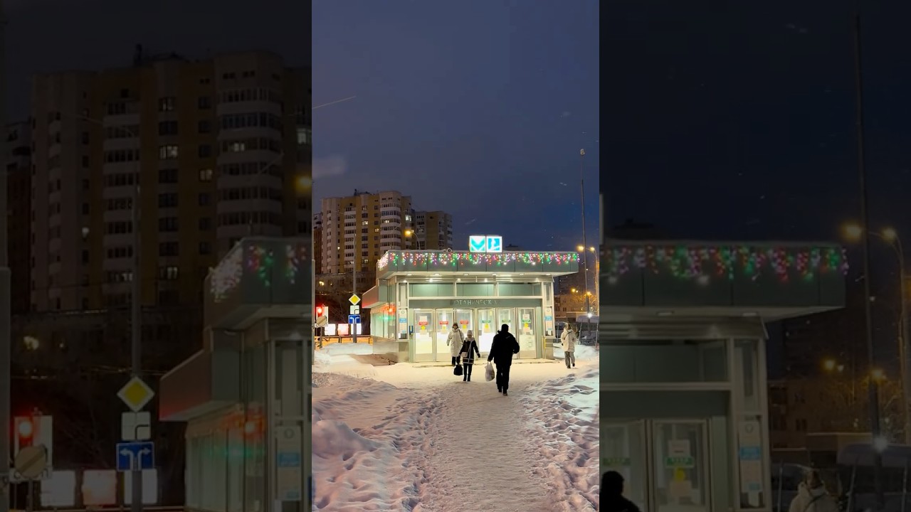 Метро Ботаническая (Выход №7), г. Екатеринбург, 12.01.2026