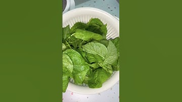 Mẹo BẢO QUẢN RAU TƯƠI LÂU, không bị ÚA, DẬP - Bách hoá XANH