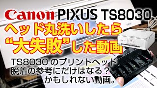 【キャノン ピクサス TS8030】プリントヘッド丸洗いしたら大失敗した動画【Canon PIXUS TS8030】