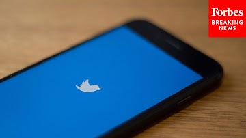 Twitter Blue: Signups For Paid Verification Appear Suspended After Impersonator Chaos