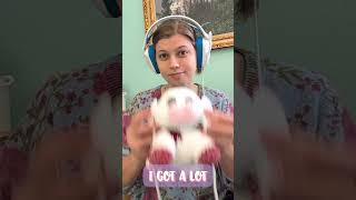 Crochet With Me! Amigurumi Field Trip to the Bookstore 🐄🍒